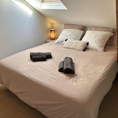 Duplex Loft - Central & Home Cinema Annecy Eksteriør billede