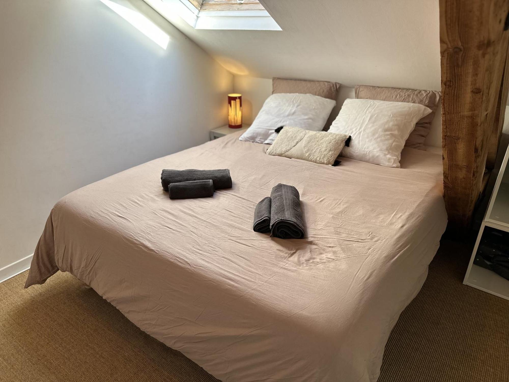 Duplex Loft - Central & Home Cinema Annecy Eksteriør billede